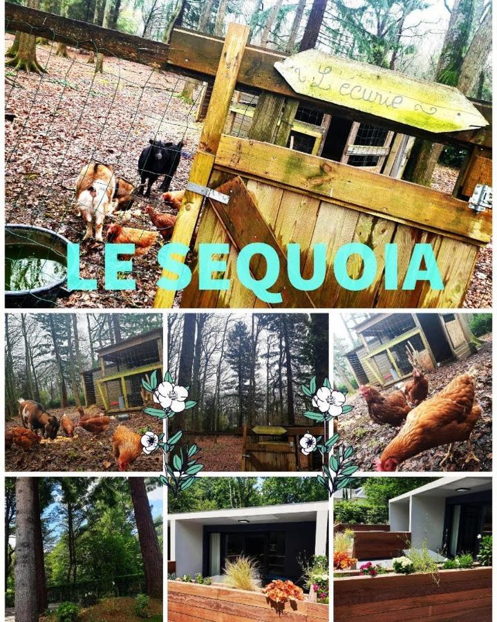 Apartamento Le séquoia Saint-Sébastien-sur-Loire Exterior foto
