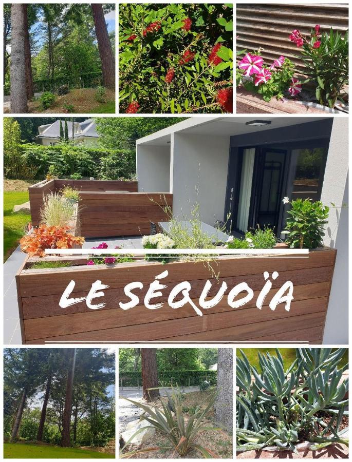 Apartamento Le séquoia Saint-Sébastien-sur-Loire Exterior foto